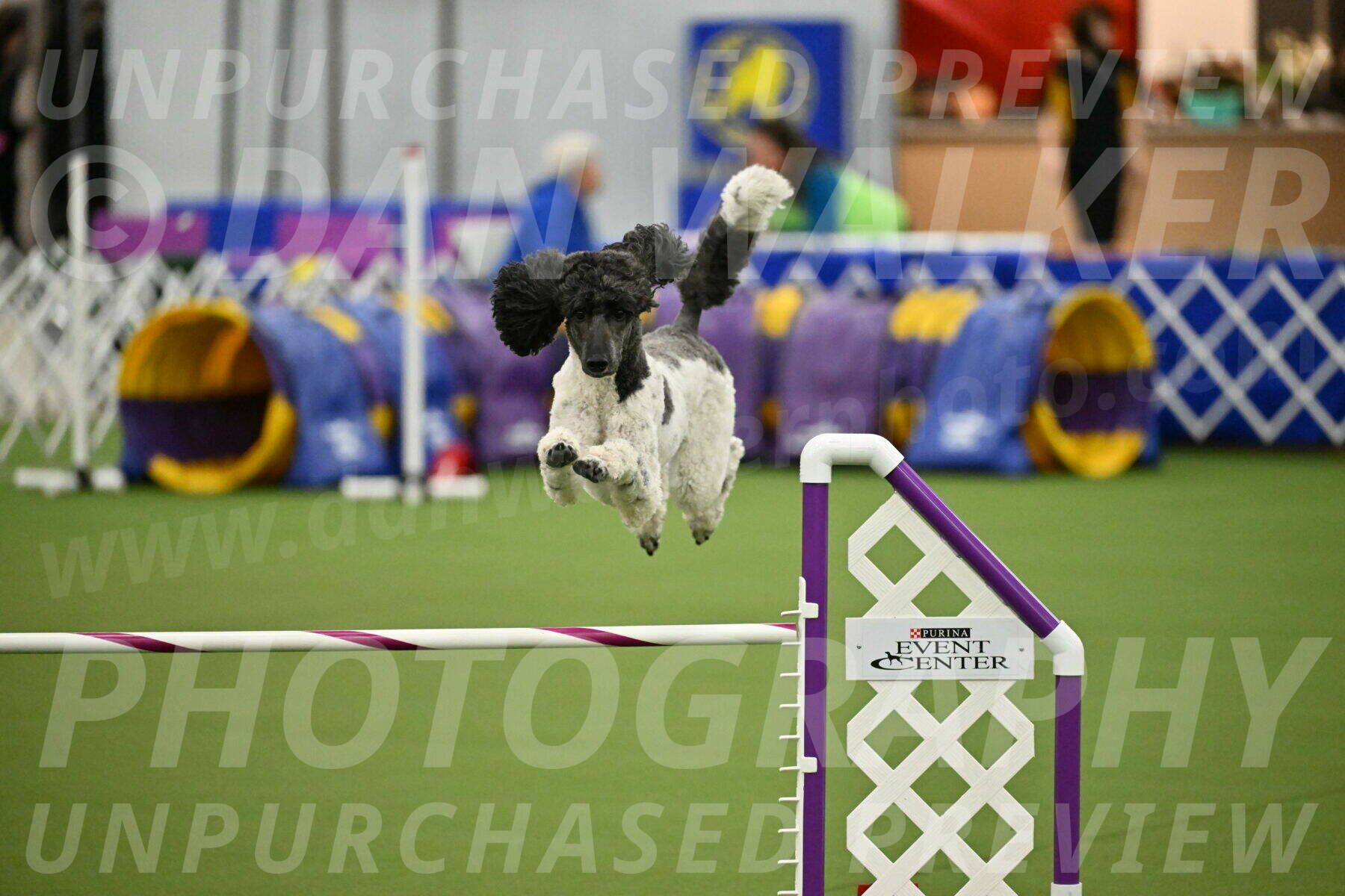 MAS-EX-JWW-24-Inch_3636