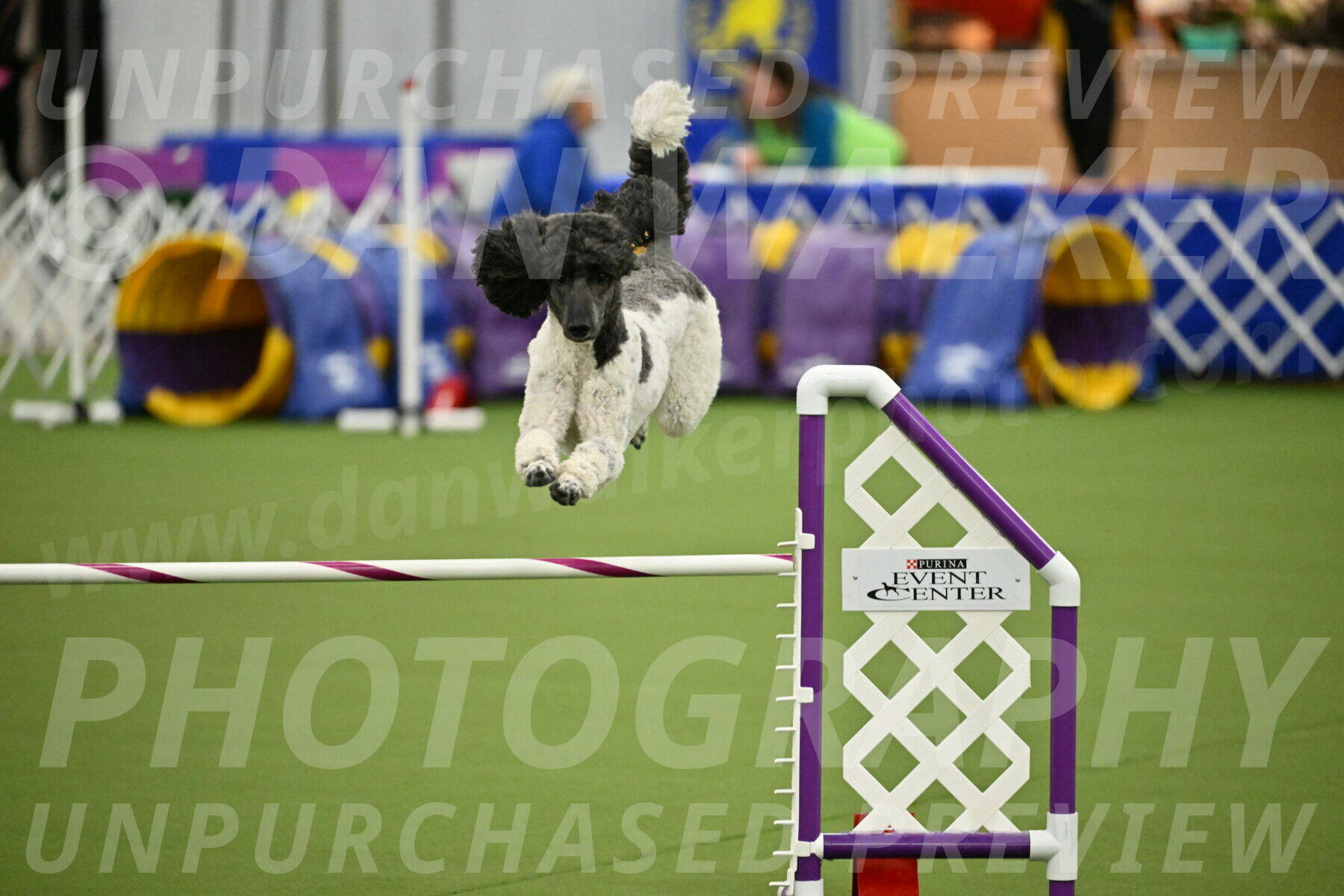 MAS-EX-JWW-24-Inch_3637