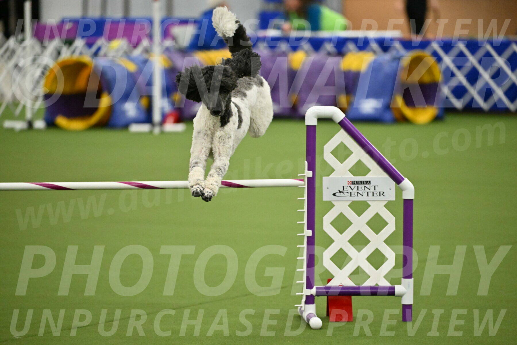 MAS-EX-JWW-24-Inch_3638