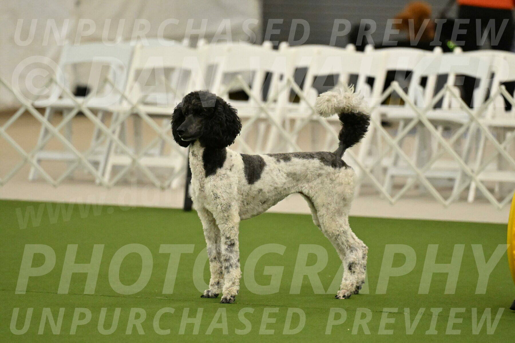 MAS-EX-JWW-24-Inch_3639