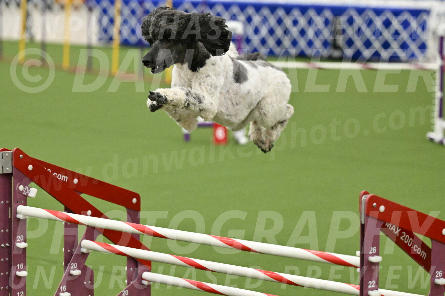 MAS-EX-JWW-24-Inch_3643