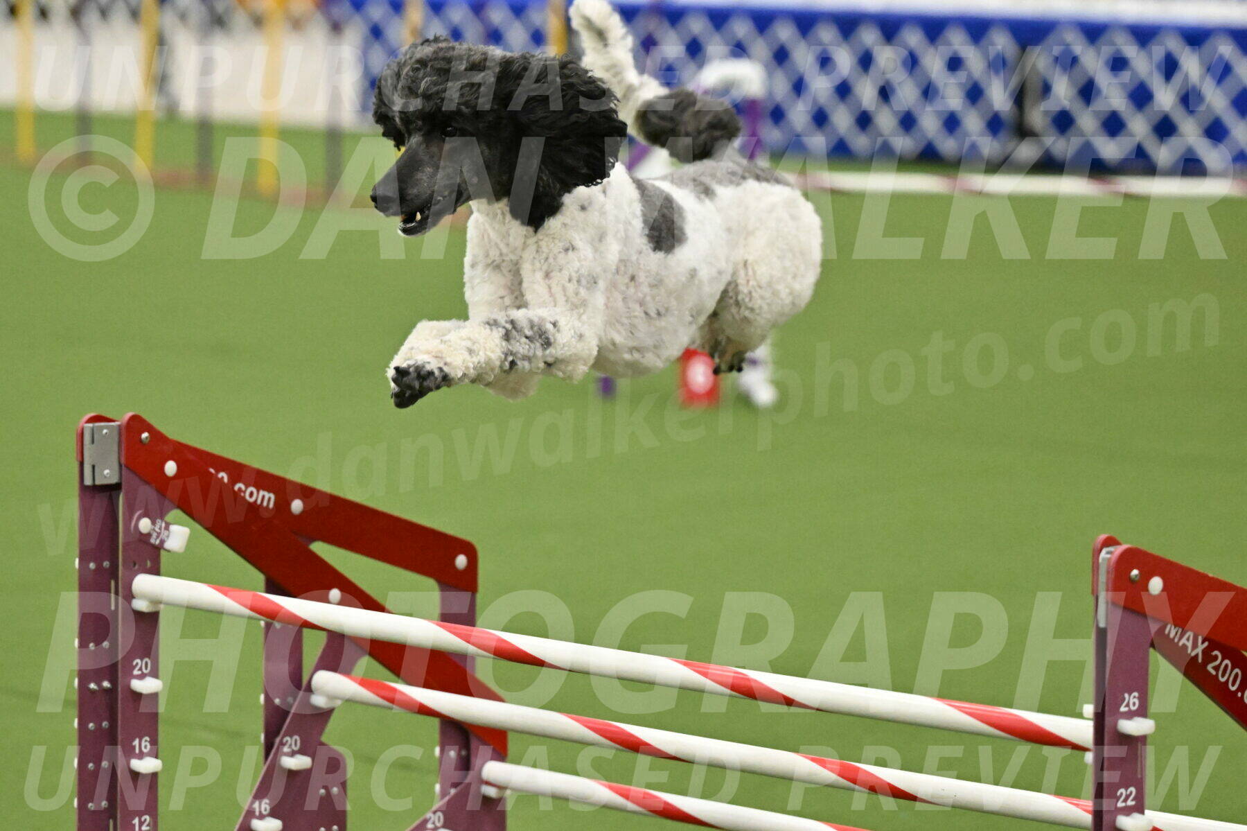 MAS-EX-JWW-24-Inch_3644