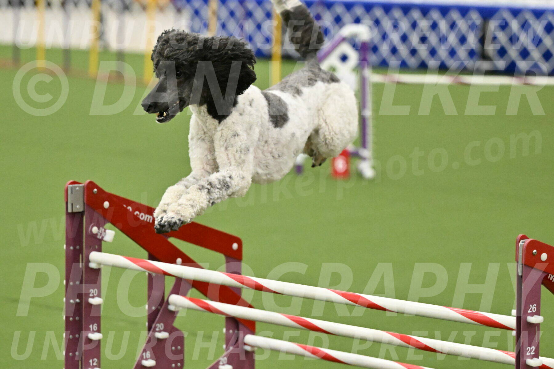 MAS-EX-JWW-24-Inch_3645