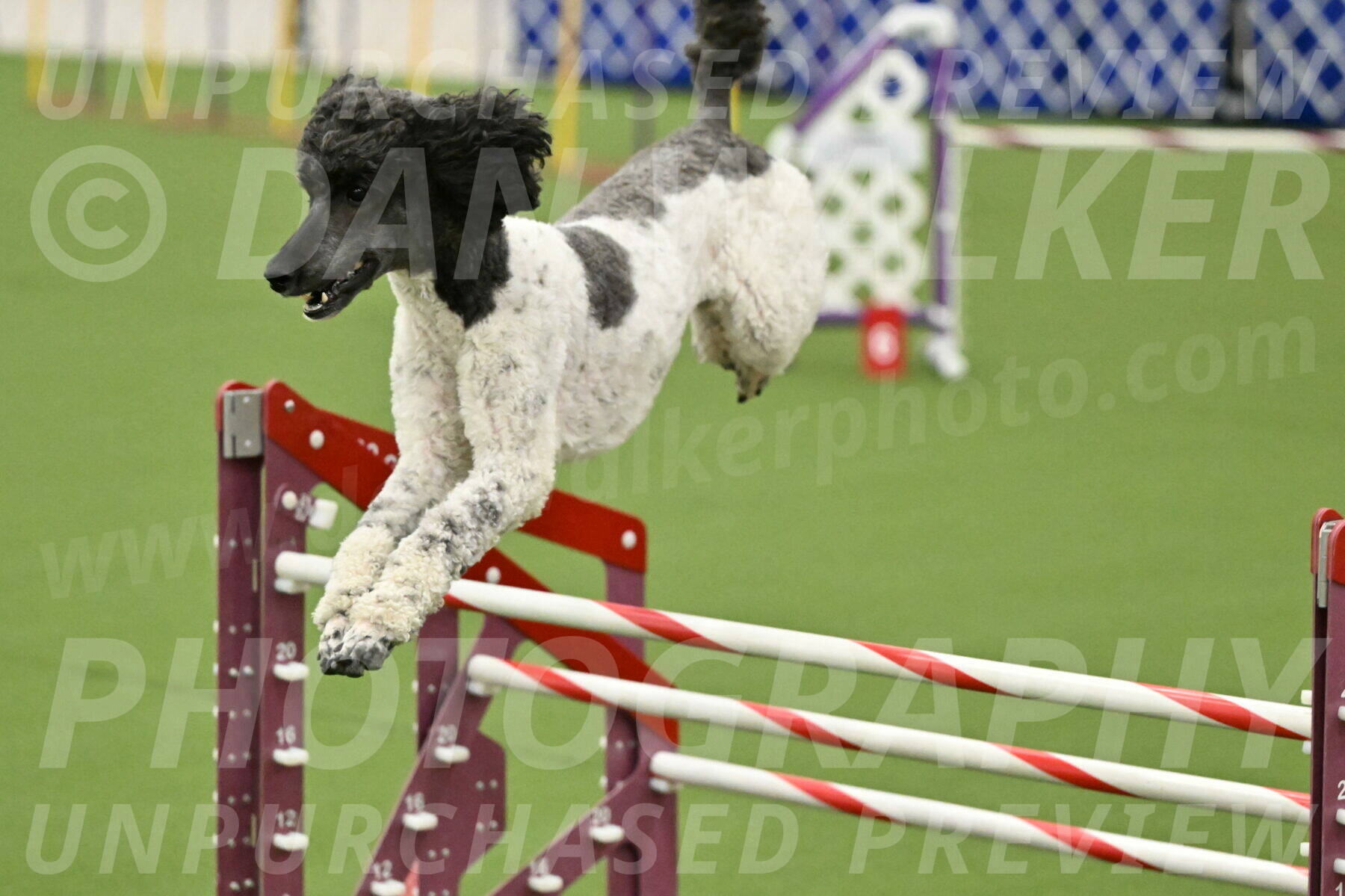 MAS-EX-JWW-24-Inch_3646