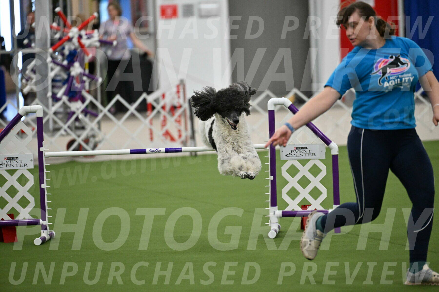 MAS-EX-JWW-24-Inch_3656