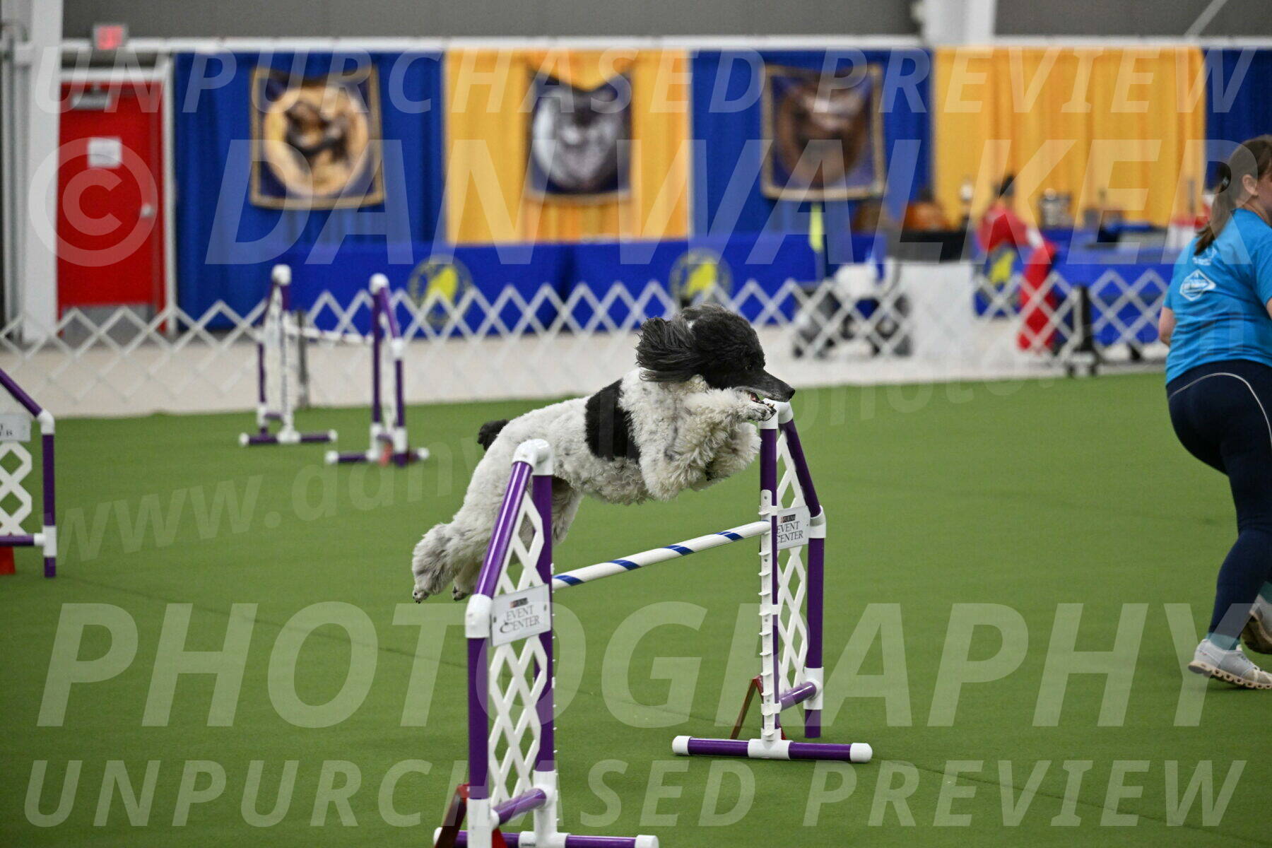 MAS-EX-JWW-24-Inch_3661