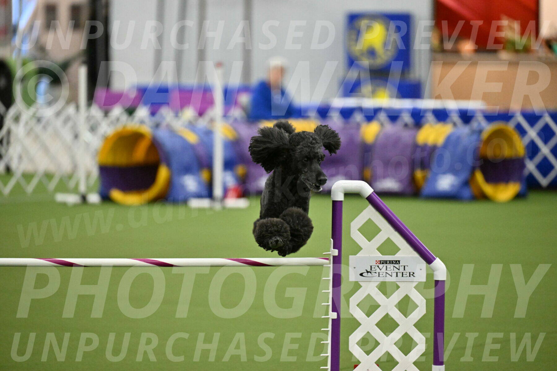 MAS-EX-JWW-24-Inch_3718