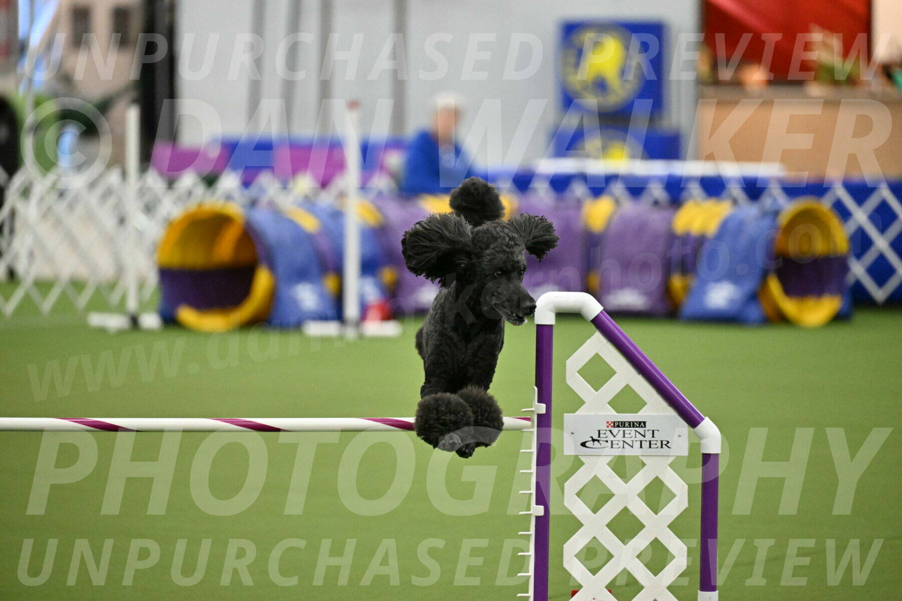 MAS-EX-JWW-24-Inch_3719