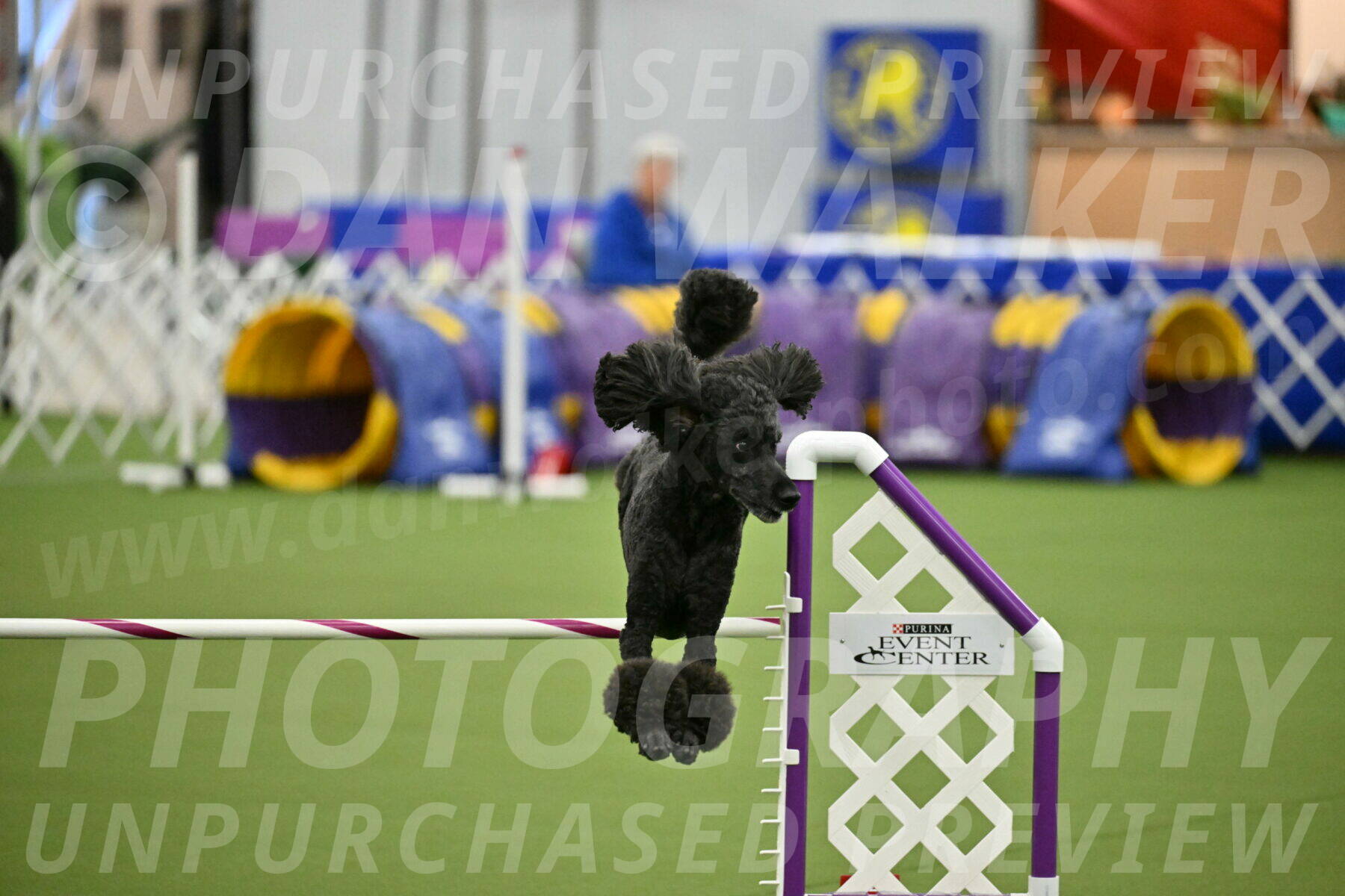 MAS-EX-JWW-24-Inch_3720