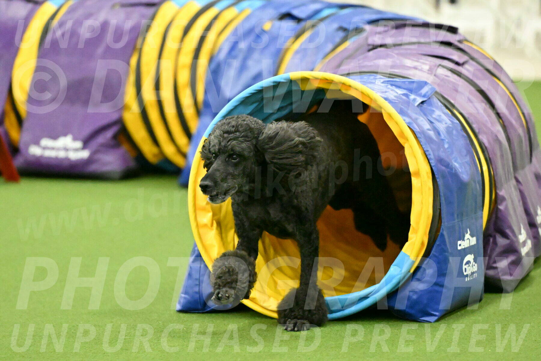 MAS-EX-JWW-24-Inch_3726