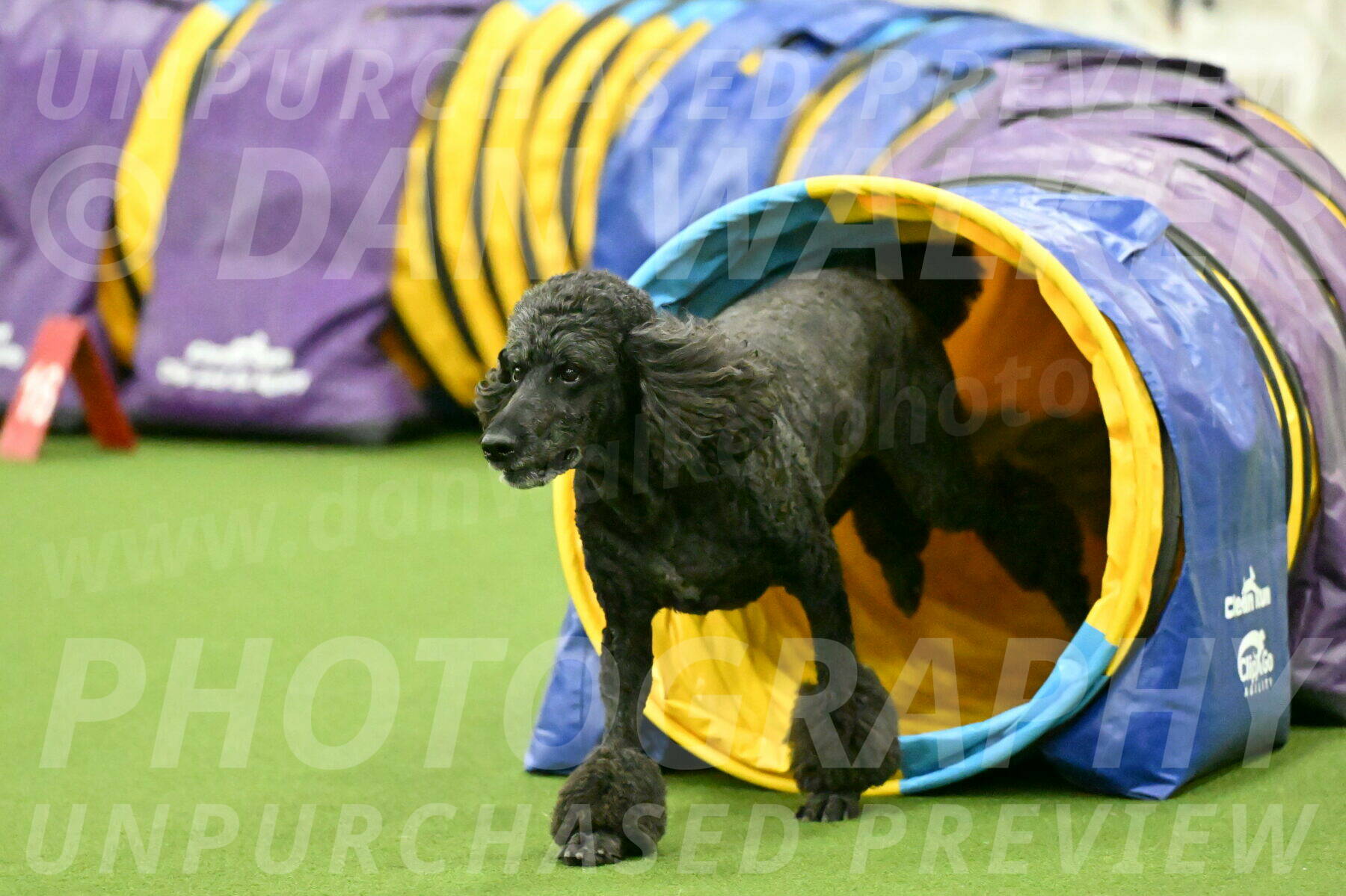 MAS-EX-JWW-24-Inch_3727