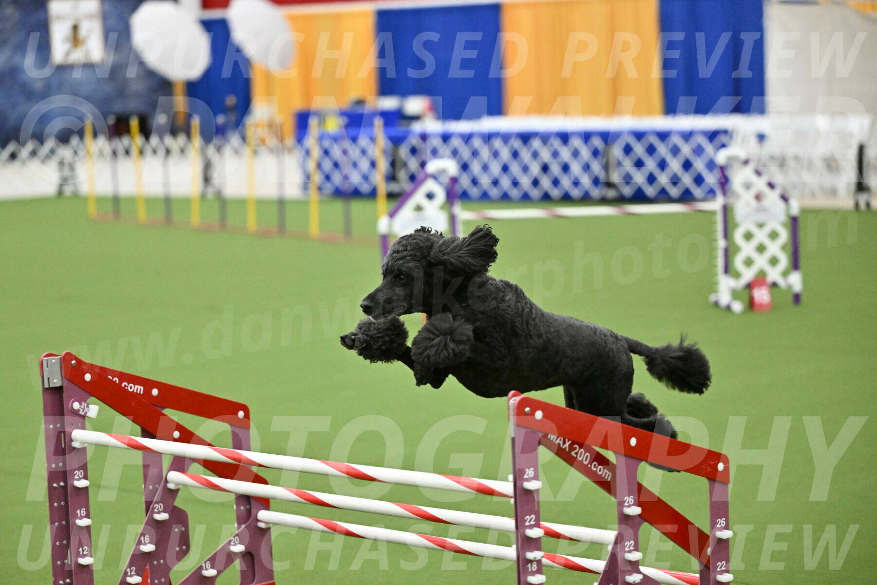 MAS-EX-JWW-24-Inch_3735