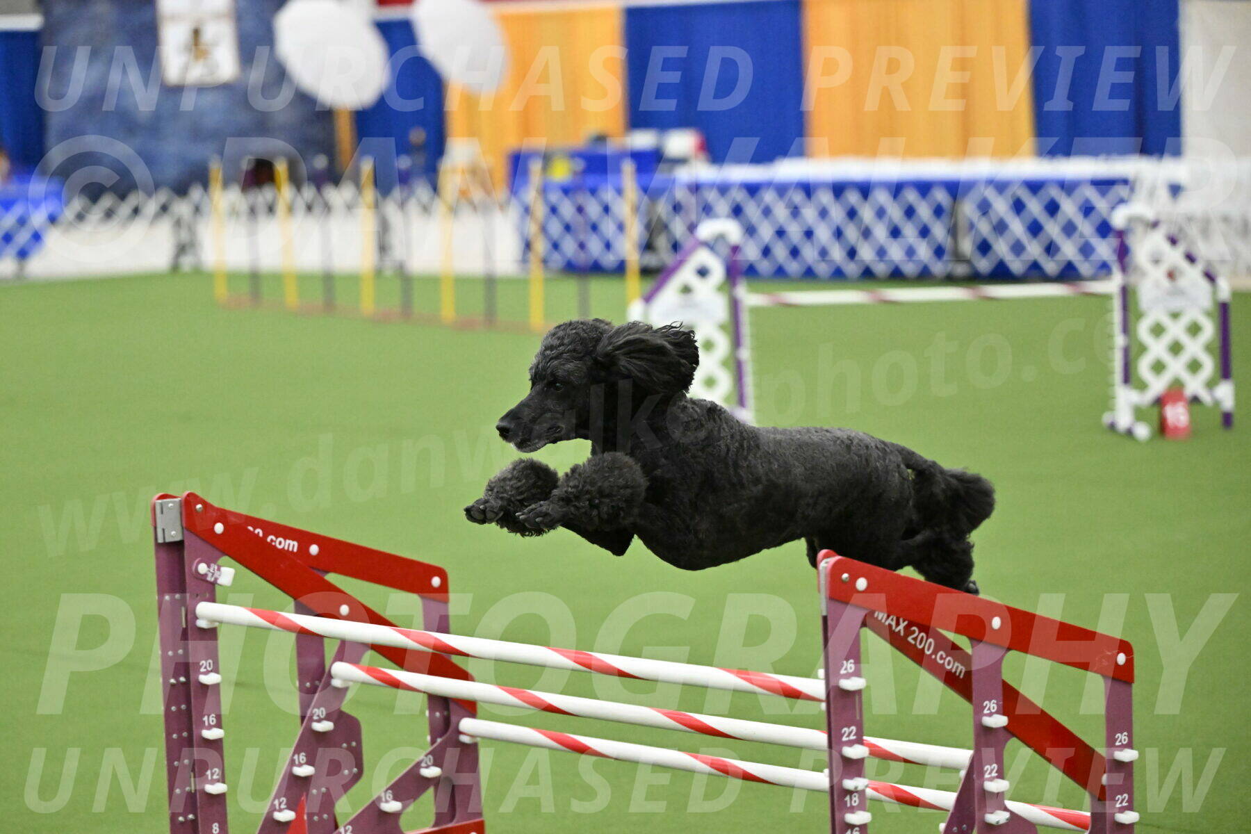 MAS-EX-JWW-24-Inch_3736