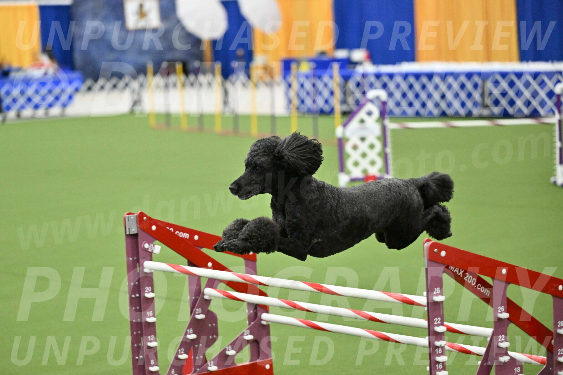 MAS-EX-JWW-24-Inch_3737