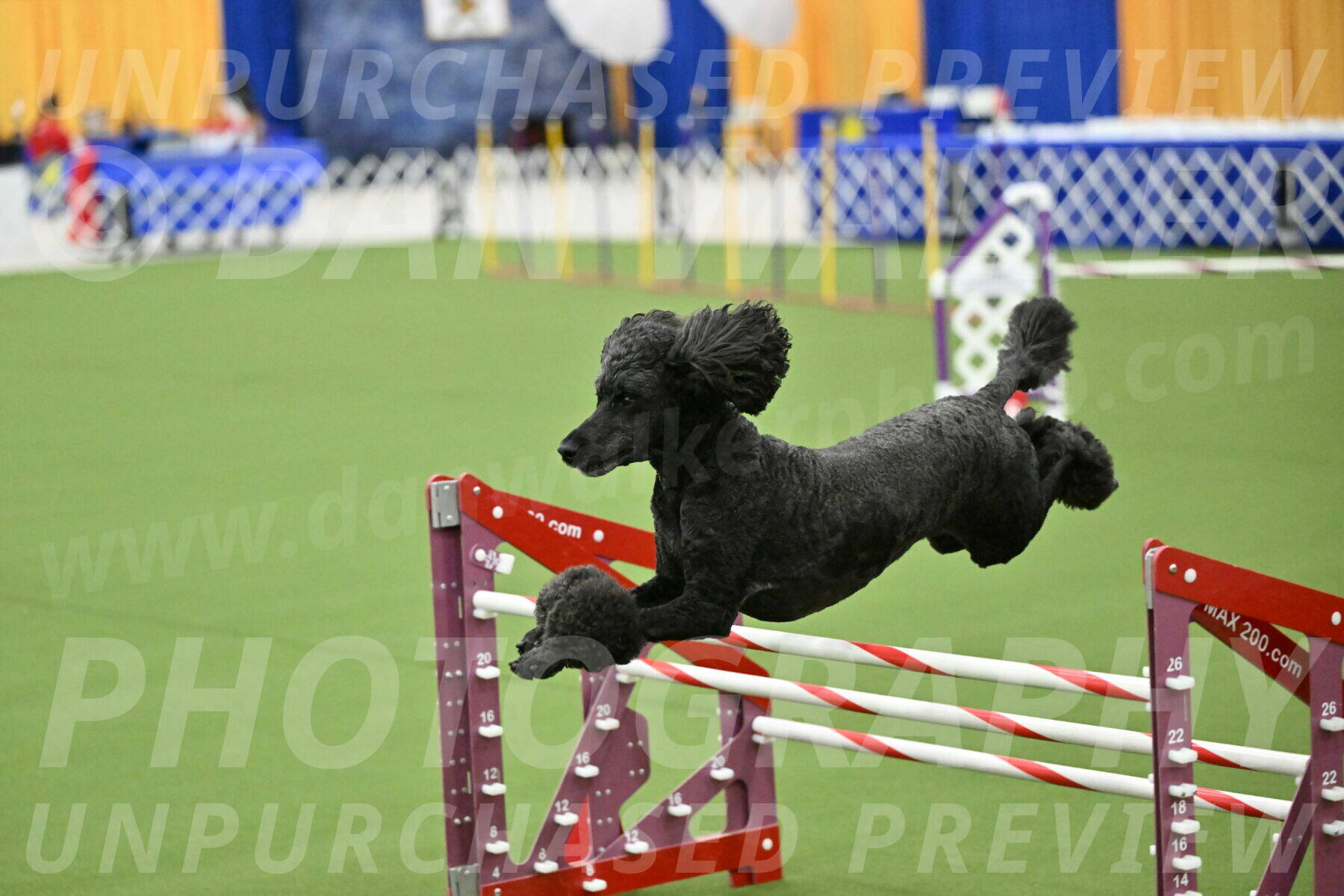 MAS-EX-JWW-24-Inch_3738