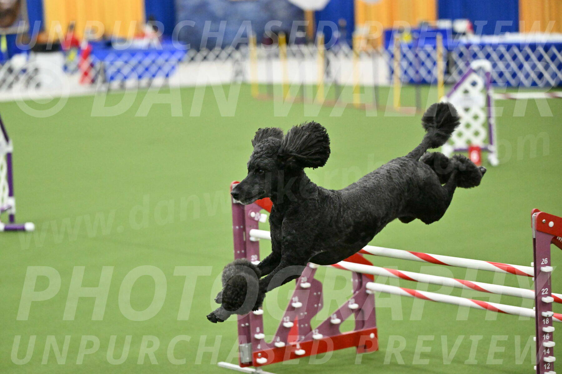 MAS-EX-JWW-24-Inch_3739