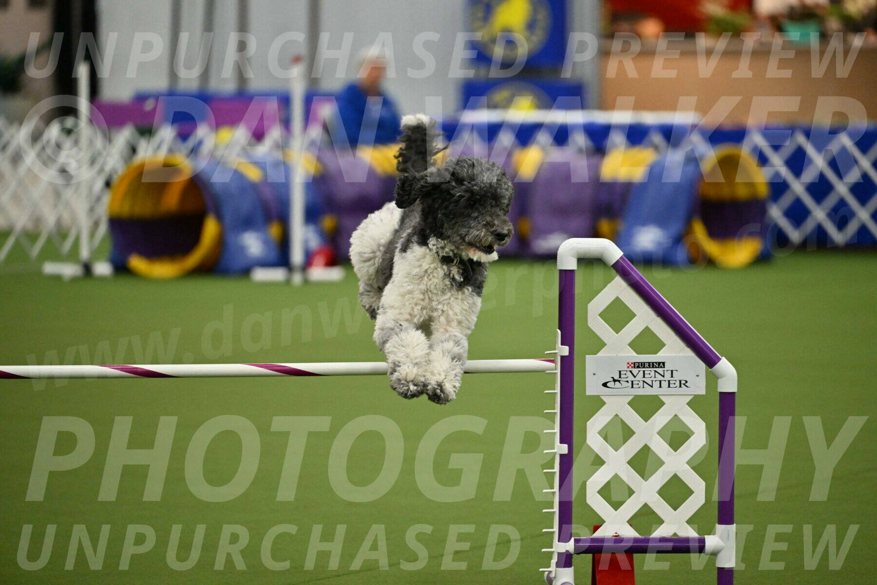 MAS-EX-JWW-24-Inch_3766