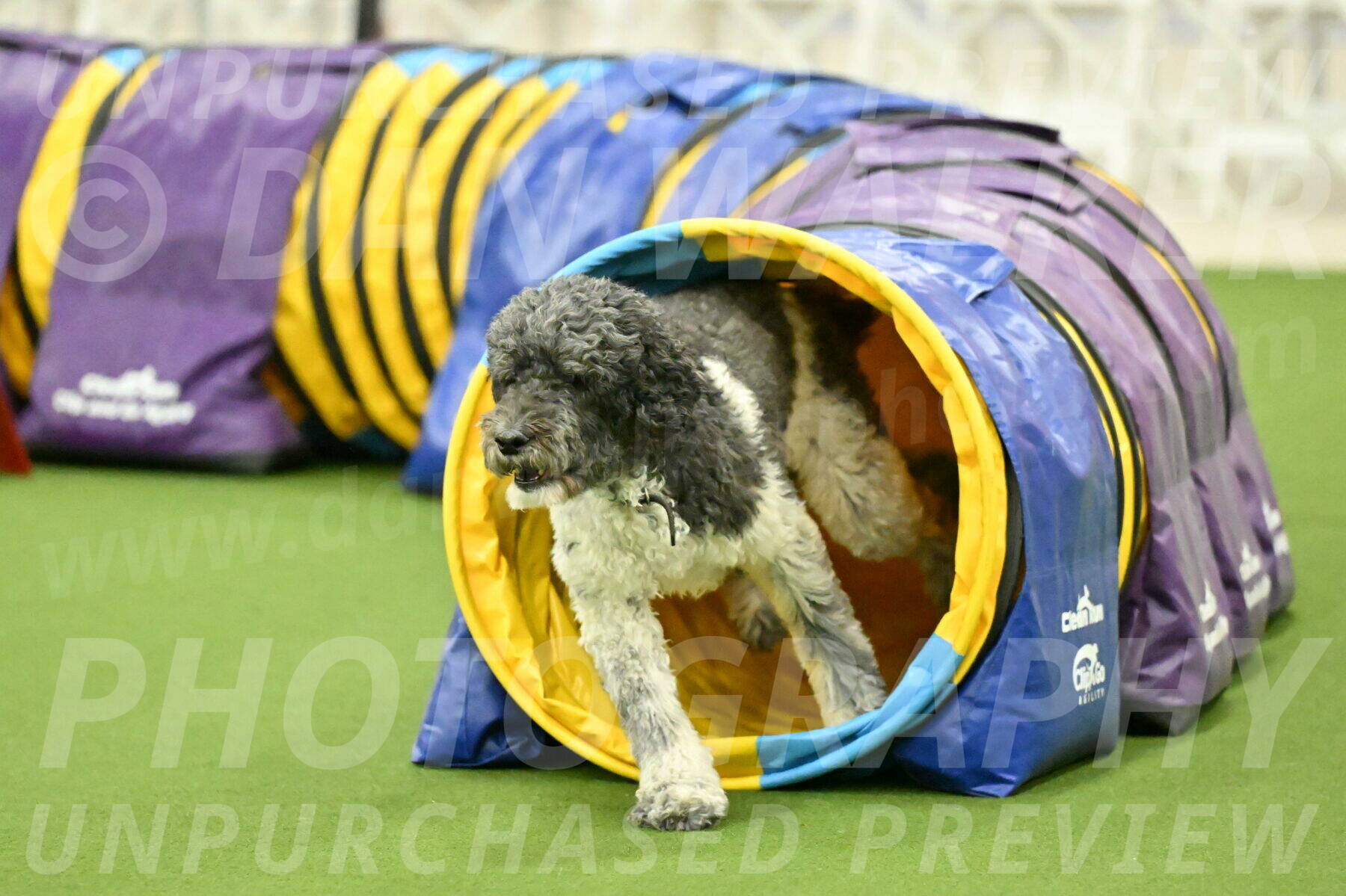 MAS-EX-JWW-24-Inch_3769