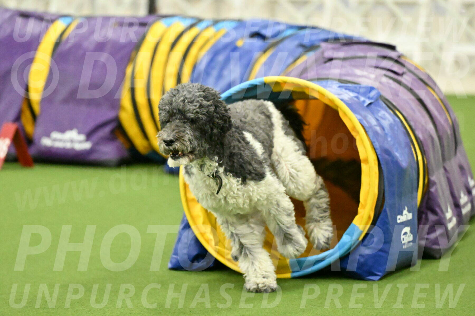 MAS-EX-JWW-24-Inch_3770