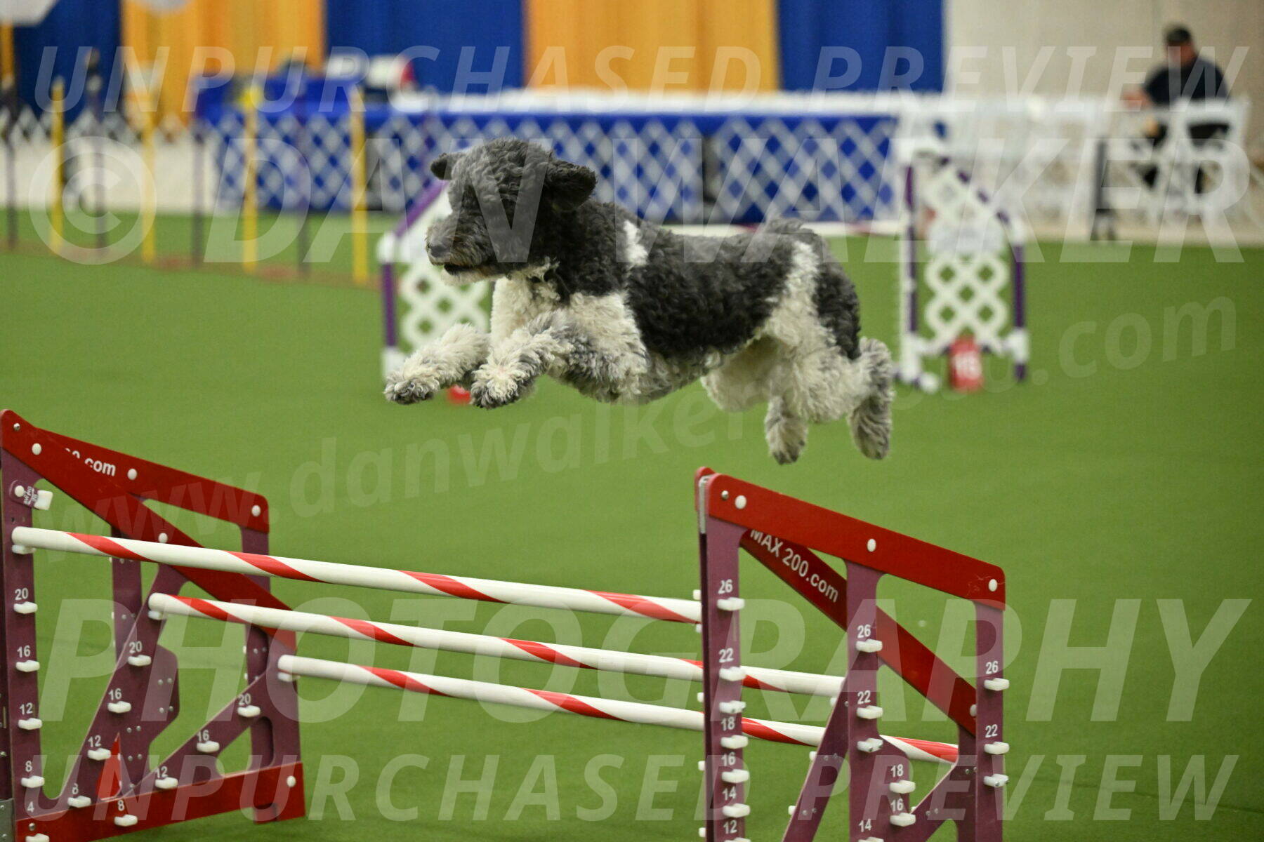 MAS-EX-JWW-24-Inch_3777