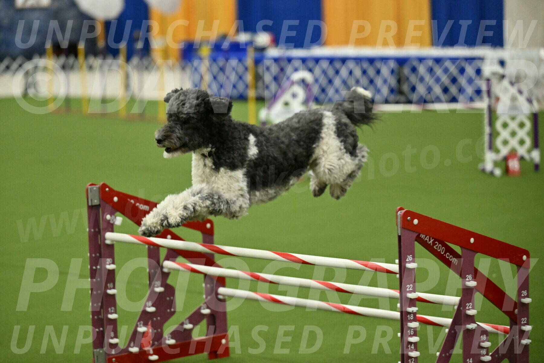 MAS-EX-JWW-24-Inch_3779