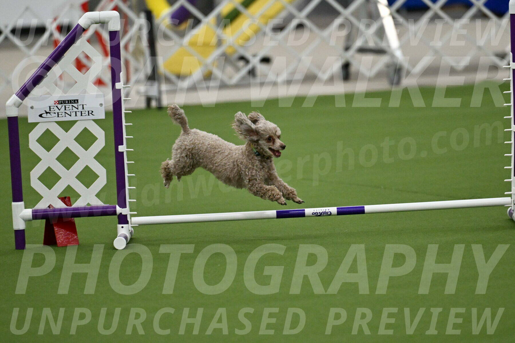 MAS-EX-JWW-4-8-Inch_0122