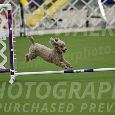 MAS-EX-JWW-4-8-Inch_0122