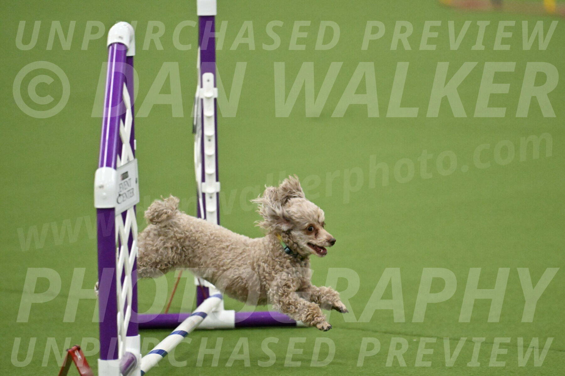 MAS-EX-JWW-4-8-Inch_0130