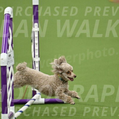 MAS-EX-JWW-4-8-Inch_0130