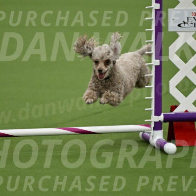 MAS-EX-JWW-4-8-Inch_0142