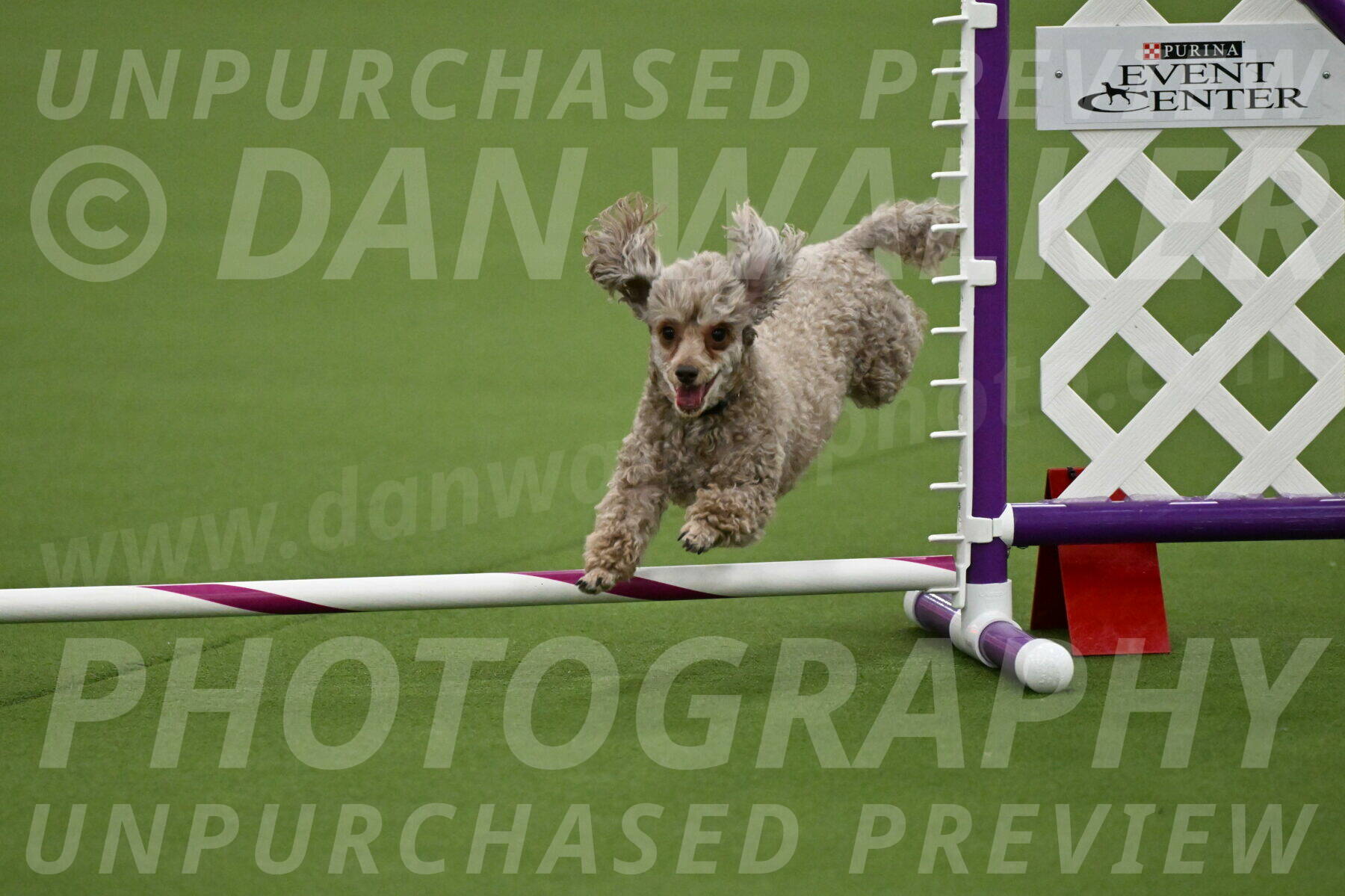 MAS-EX-JWW-4-8-Inch_0143