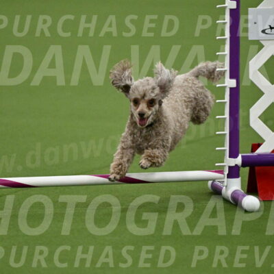 MAS-EX-JWW-4-8-Inch_0143