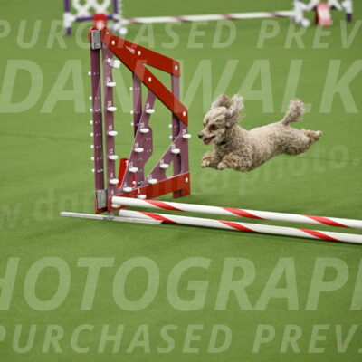 MAS-EX-JWW-4-8-Inch_0166