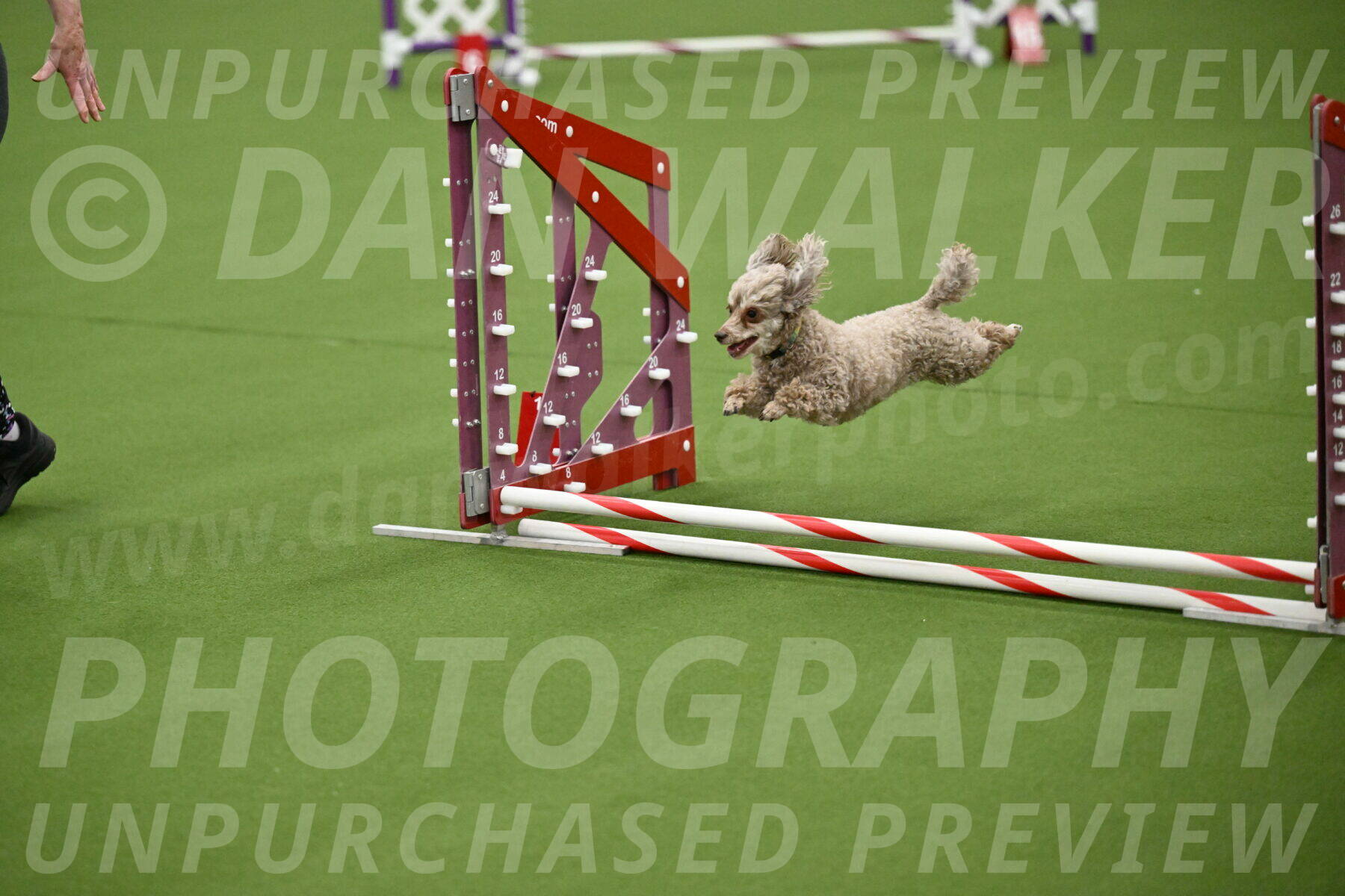 MAS-EX-JWW-4-8-Inch_0166