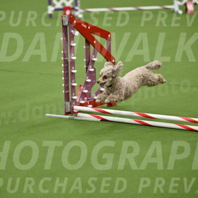 MAS-EX-JWW-4-8-Inch_0167