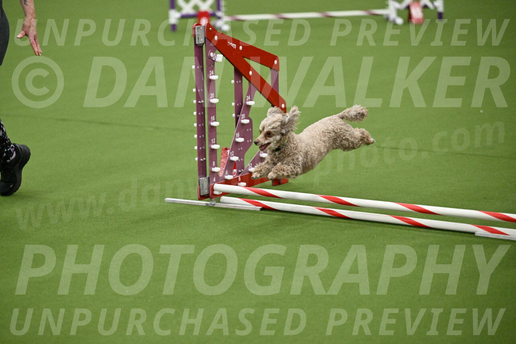 MAS-EX-JWW-4-8-Inch_0167