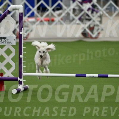 MAS-EX-JWW-4-8-Inch_0175