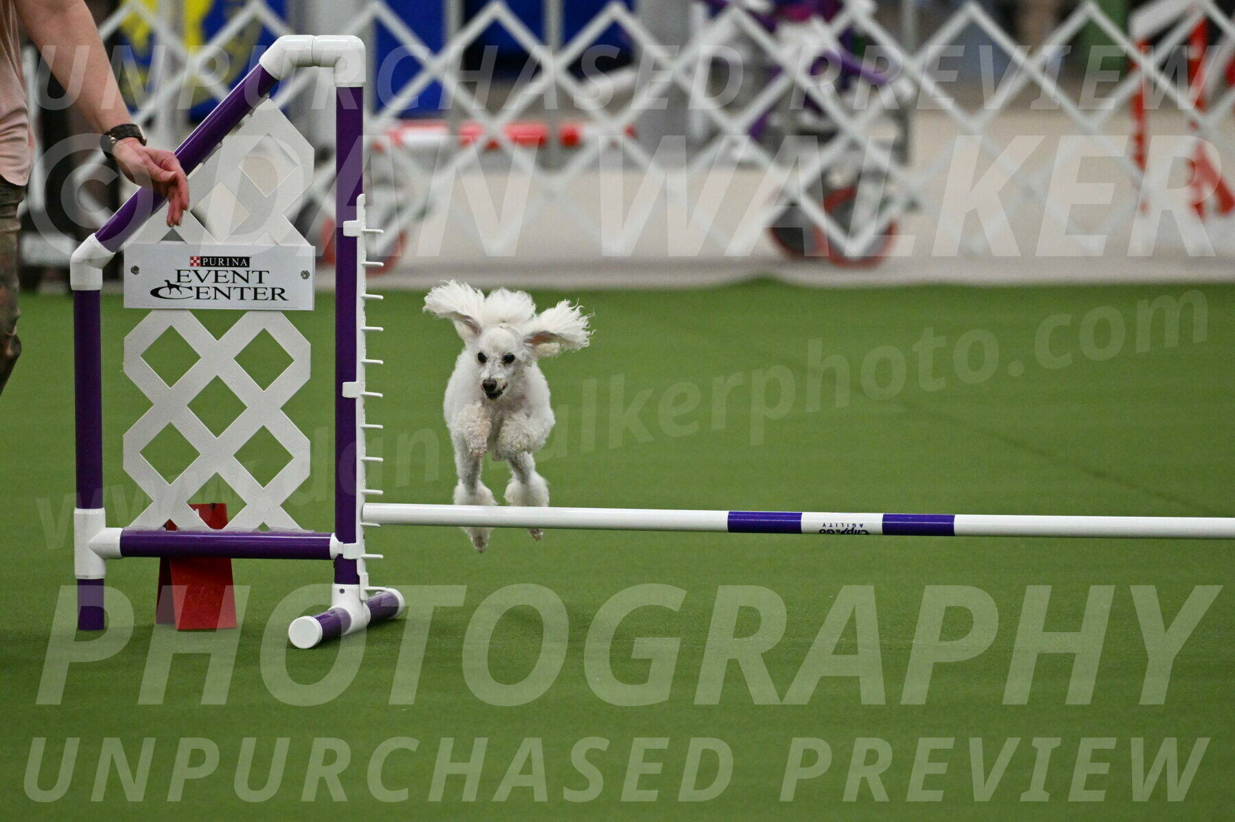 MAS-EX-JWW-4-8-Inch_0175