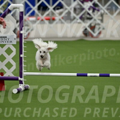 MAS-EX-JWW-4-8-Inch_0176