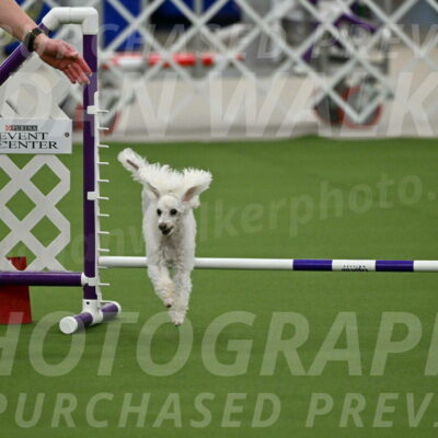 MAS-EX-JWW-4-8-Inch_0177