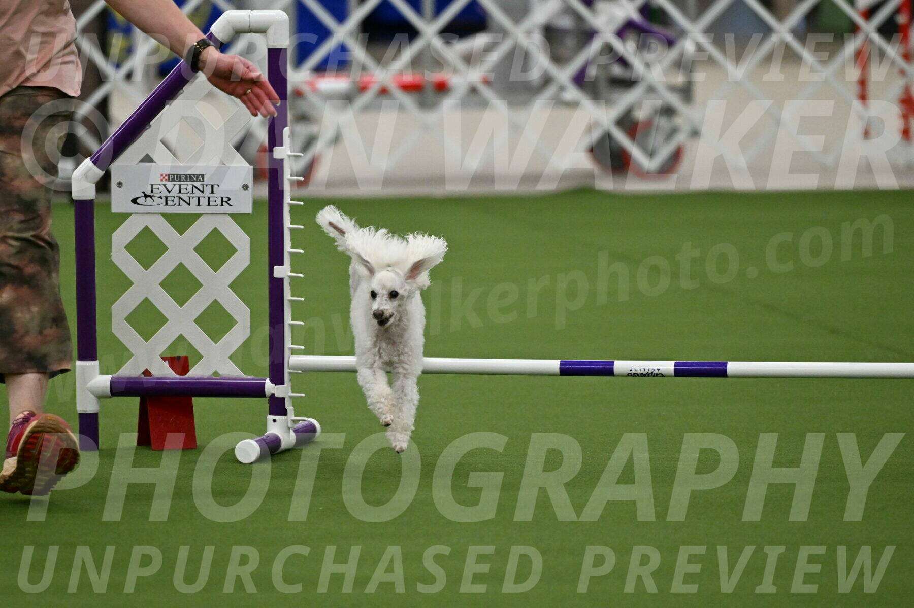 MAS-EX-JWW-4-8-Inch_0177