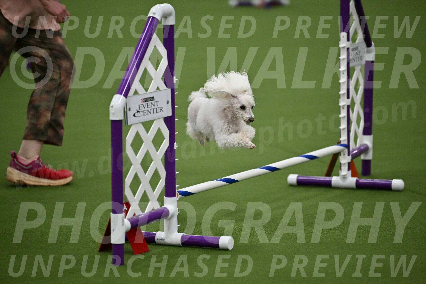 MAS-EX-JWW-4-8-Inch_0184