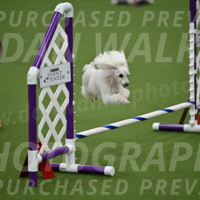 MAS-EX-JWW-4-8-Inch_0184