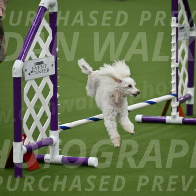 MAS-EX-JWW-4-8-Inch_0186