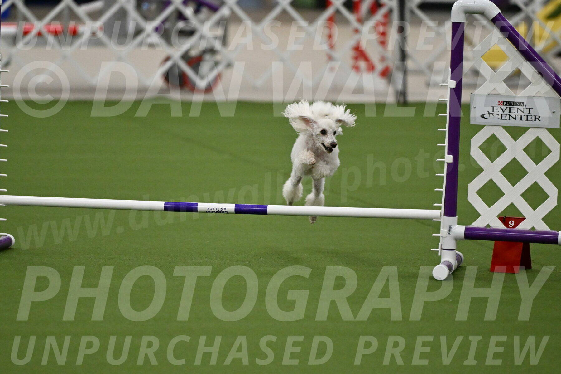 MAS-EX-JWW-4-8-Inch_0194