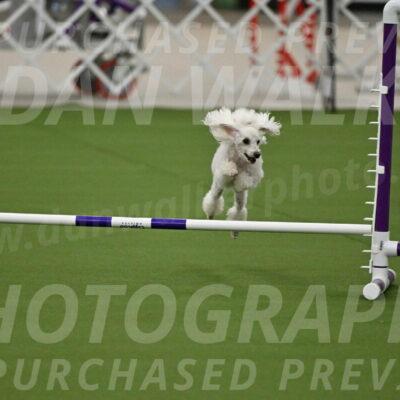 MAS-EX-JWW-4-8-Inch_0194