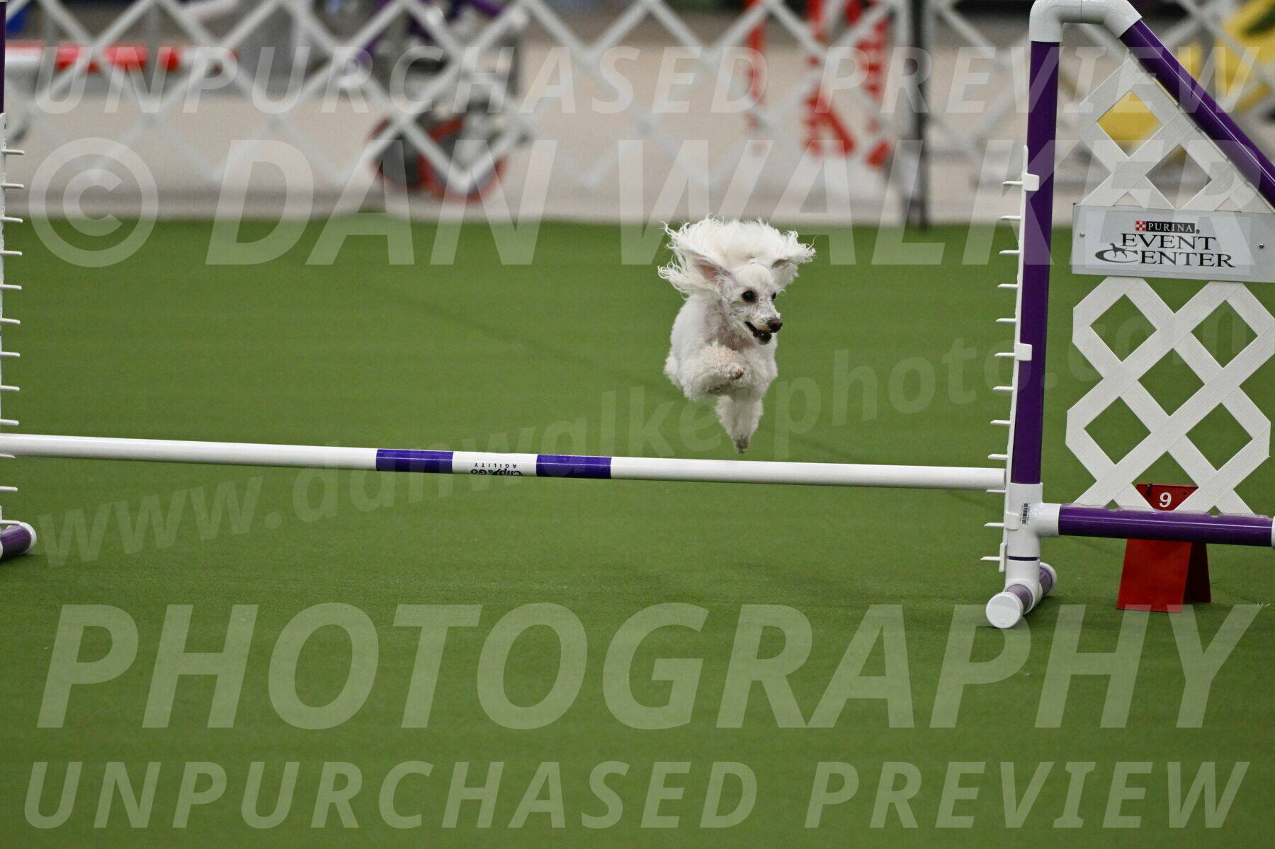 MAS-EX-JWW-4-8-Inch_0195