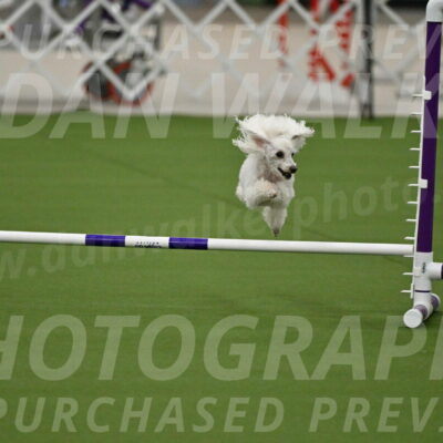 MAS-EX-JWW-4-8-Inch_0195