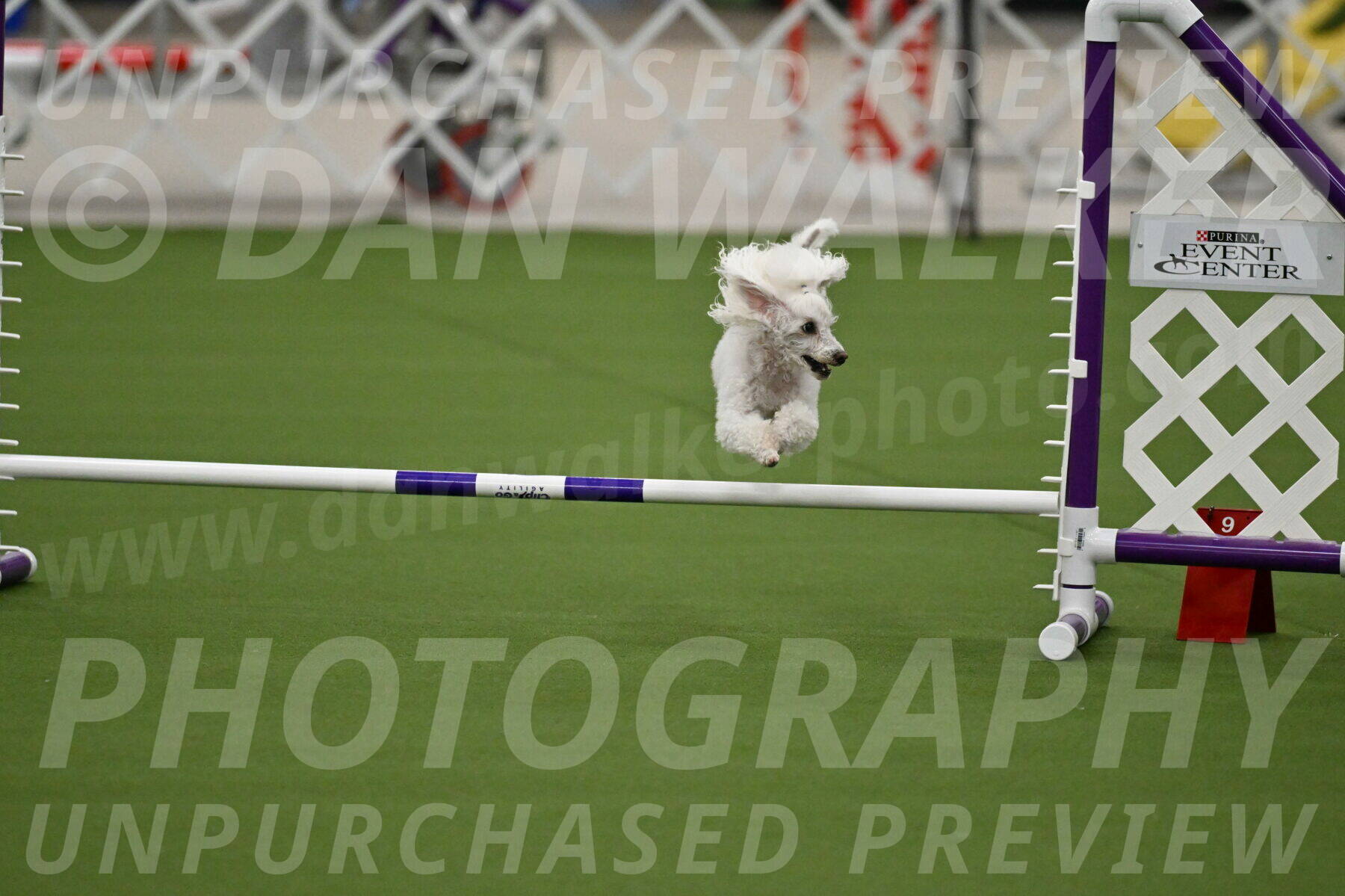 MAS-EX-JWW-4-8-Inch_0196