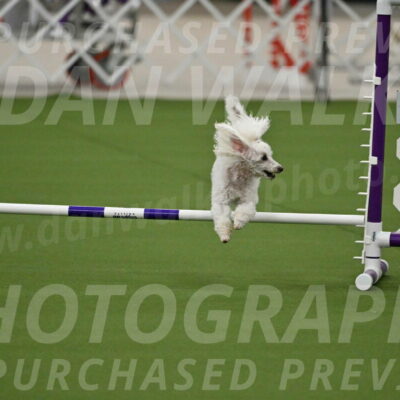 MAS-EX-JWW-4-8-Inch_0197